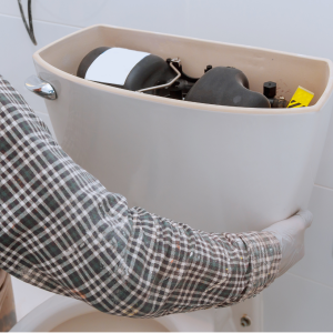 Untitled design (53)